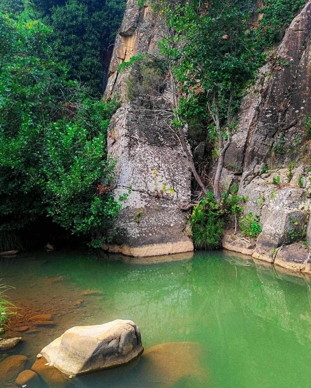 Randonnée à Oued el Gomri