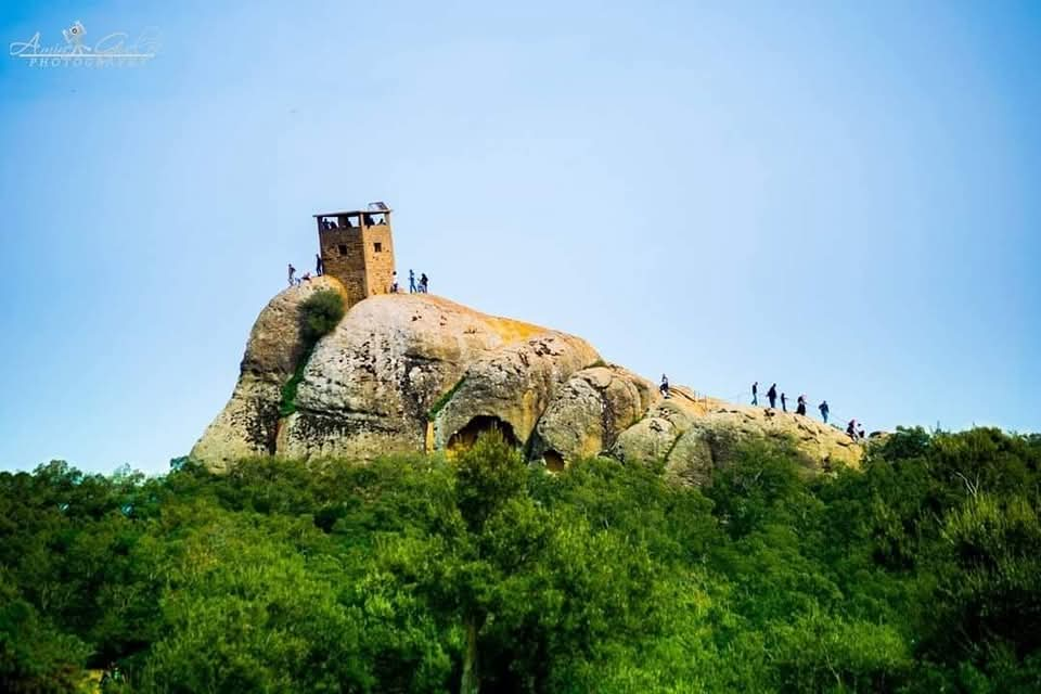 Randonnée au Parc National El Feija