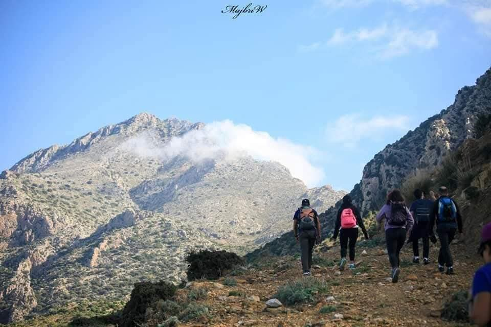 Randonnée au Sommet du Djebel Bargou